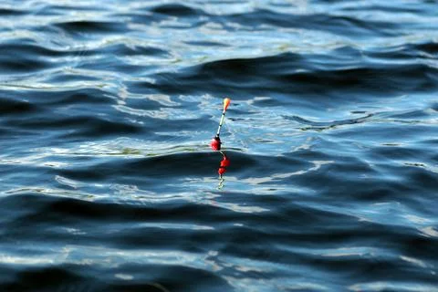 Fishing float on the water Stock Photos