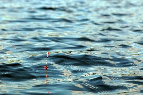 Fishing float on the water Stock Photos