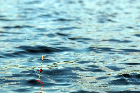 Fishing float on the water Stock Photos