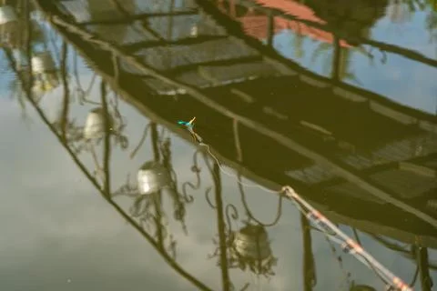Fishing float in the water of the pond Stock Photos