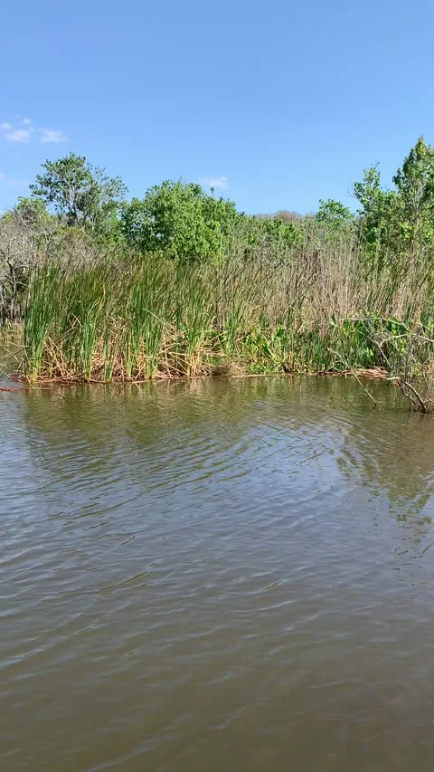 Fishing florida lake Stock Footage 170679732