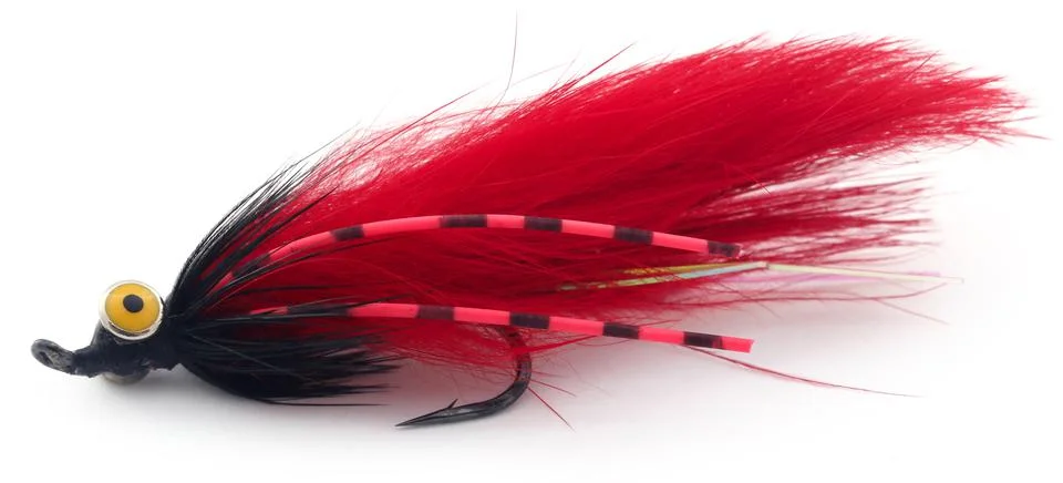 Fishing fly with hook Stock Photos