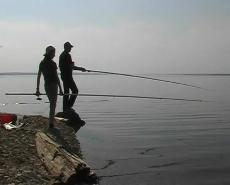 Fishing Stock Footage 298250
