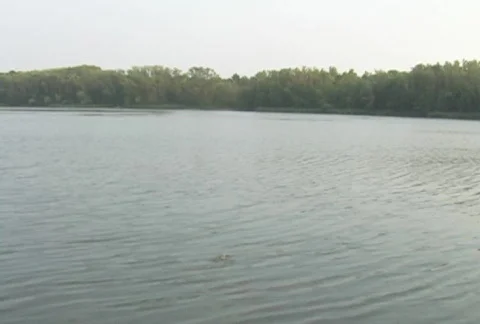 Fishing 動画素材 829949