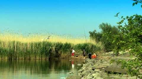 Fishing Stock Footage 5719885