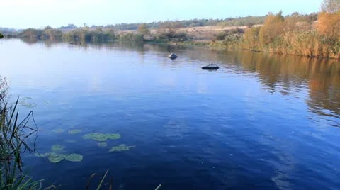 FISHING Stock Footage 8955826