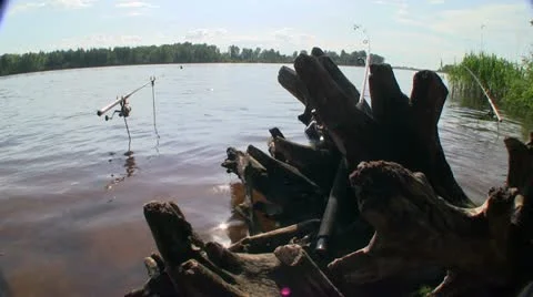 Fishing Stock Footage 11029486