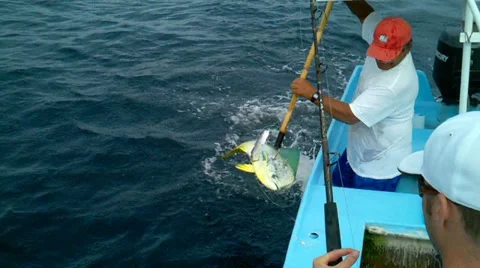 Fishing Stock Footage 11630678