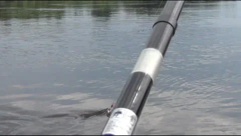 Fishing, Stock-Footage 24888168