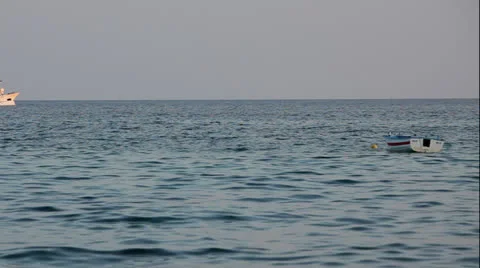 Fishing Stock Footage 26020805