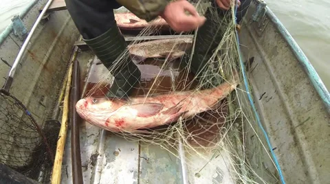 Fishing Stock Footage 35933476