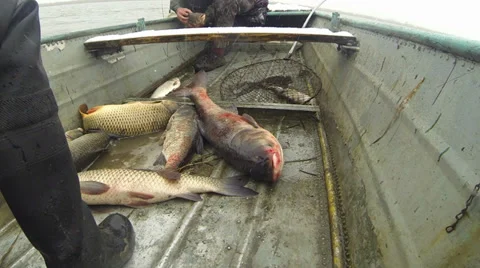 Fishing Stock-Footage 35934509