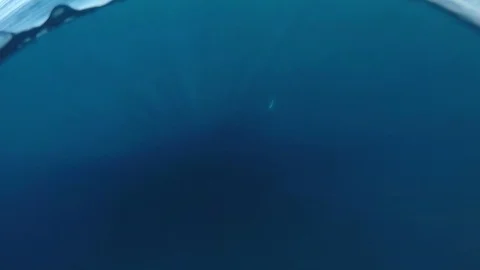 Fishing Stock Footage 87101255