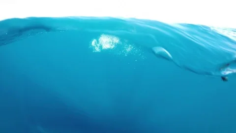 Fishing Stock Footage 87101419