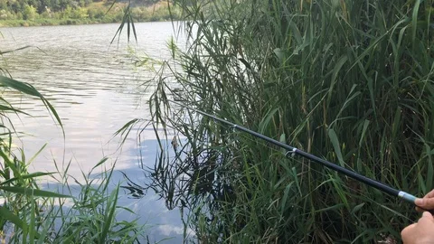 Fishing. Stock Footage 91927331