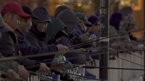 Fishing Stock Footage 113923570