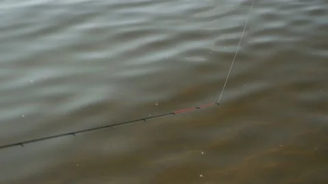 Fishing. Stock Footage 155848572