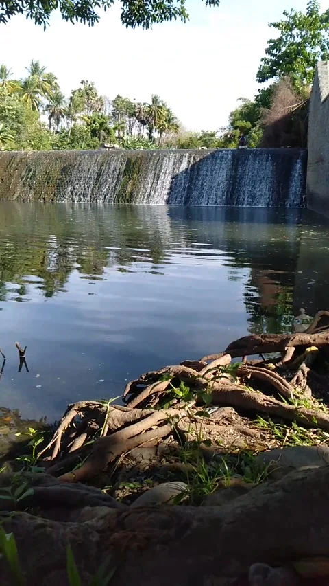 Fishing Stock Footage