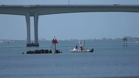 Fishing Stock Footage 170778220