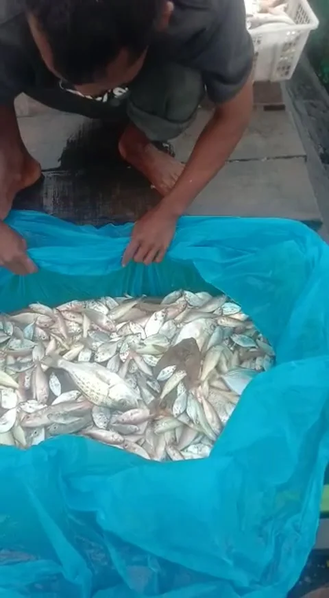 Fishing Stock Footage 205033370