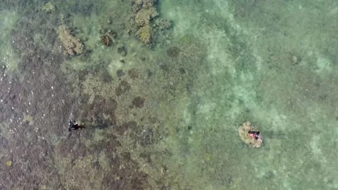 Fishing Vídeos de archivo 205265893