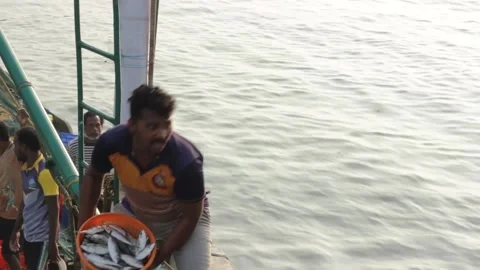 Fishing Stock Footage 208562583