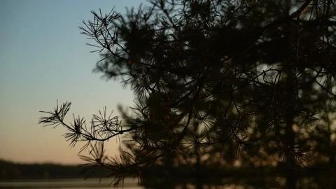 Fishing forest lake 스톡 동영상 93018976