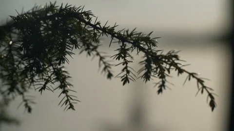 Fishing forest lake 스톡 동영상 93019456