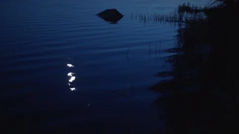 Fishing forest lake 스톡 동영상 93020288