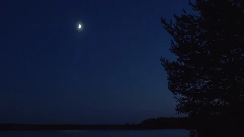 Fishing forest lake 스톡 동영상 93020310