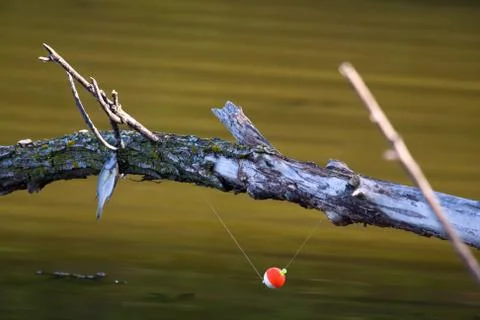 Fishing frustration Stock Photos