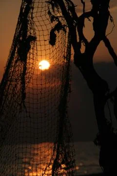 Fishing grid Foto stock