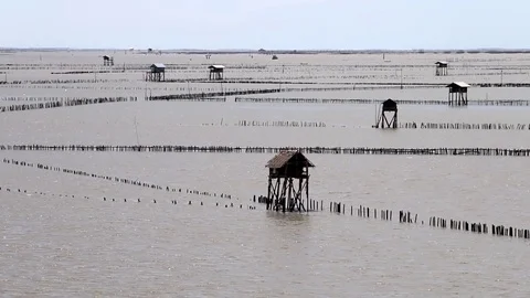Fishing Grounds On The Shallow In The Sea Stock Footage 85188166