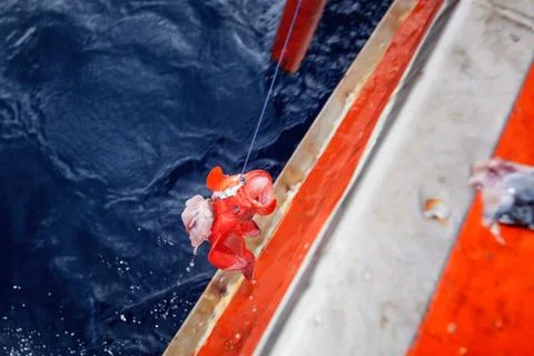Fishing Grouper fish and pulling up from the sea Stock-Fotos
