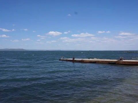 Fishing in the Gulf Vídeo Stock 75782299