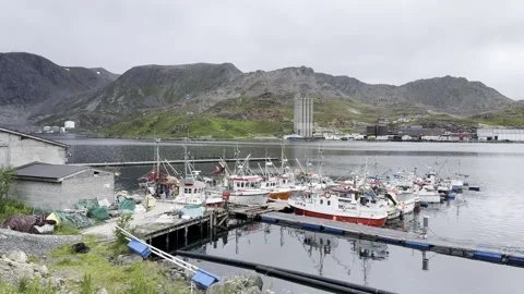 Fishing harbor in Honningsvg Stock Footage 340336779