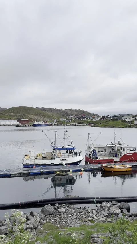 Fishing harbor in Honningsvg Stock Footage 340337241