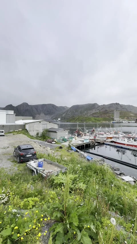 Fishing harbor in Honningsvg Stock Footage 340337491
