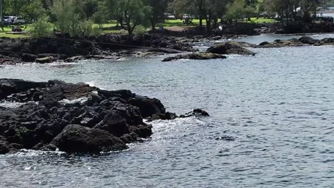 Fishing in Hawaii 1 Video stock 171308554