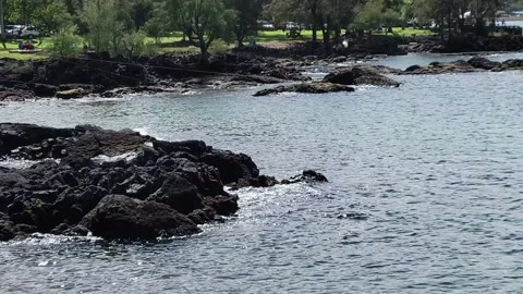 Fishing in Hawaii Video stock 171308585