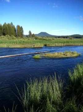 Fishing hole Stock Photos