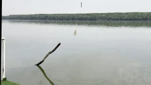 Fishing Hook Above Calm River Water in Natural Landscape Stock-Footage 334571893