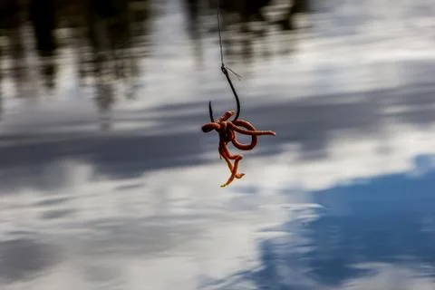 Fishing hook Foto stock