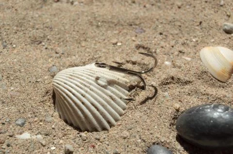 Fishing hooks and shells in the beach. Stockfoto's