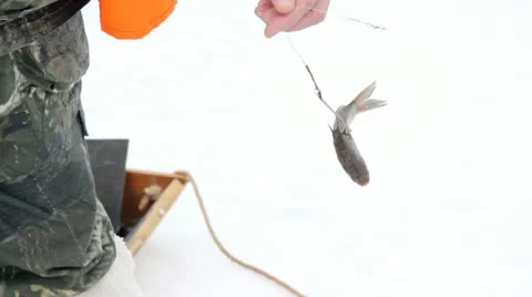 Fishing on ice Video stock 11863404