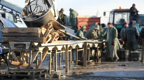 Fishing Industry Stock Footage 14401983