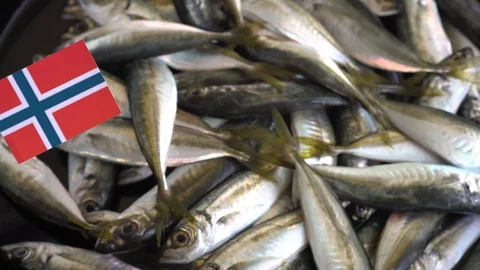 Fishing industry in Norway Video stock 103127059