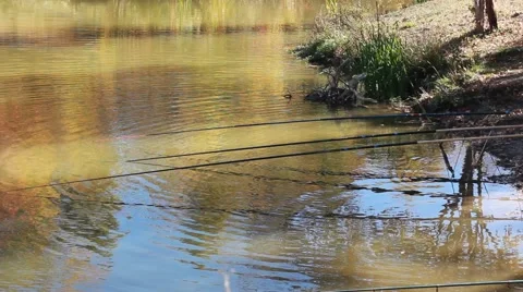 Fishing on the lake Stock-Footage 53410470