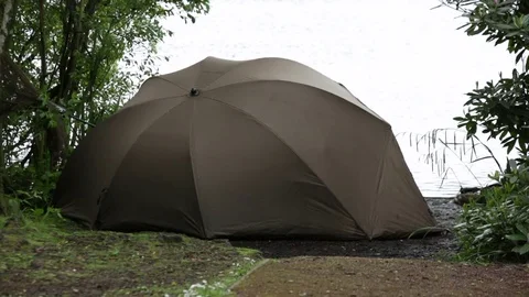 Fishing at the lake Stock Footage 75808154