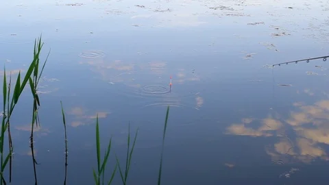 Fishing on the lake Stock Footage 89818053